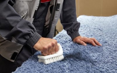 5 Langkah Untuk Mencuci Karpet Bulu