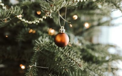 Cara Tepat Membersihkan Pohon Natal Anda
