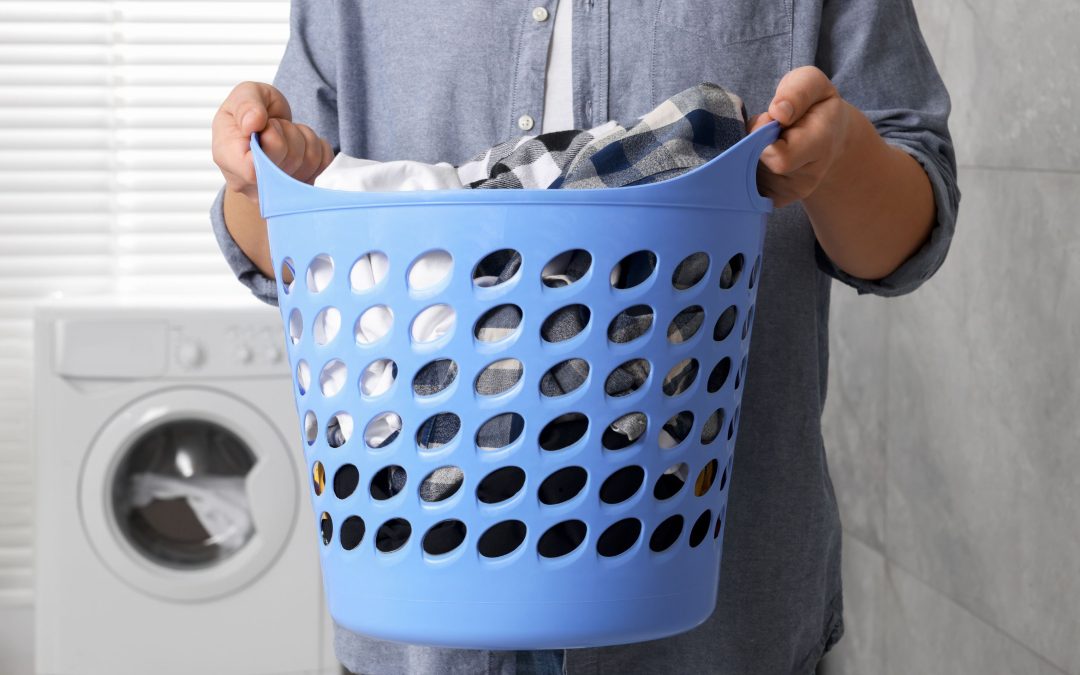 laundry profesional